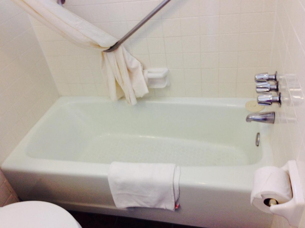 Amazon Motel Main image