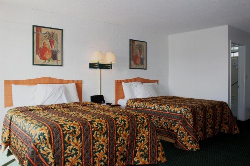 Amazon Motel image 9